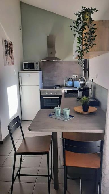 Toulouse Charmant T3 Ponts Jumeaux Avec Terrasse Appartement Buitenkant foto